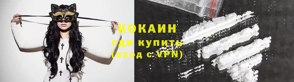 гашик Белоозёрский