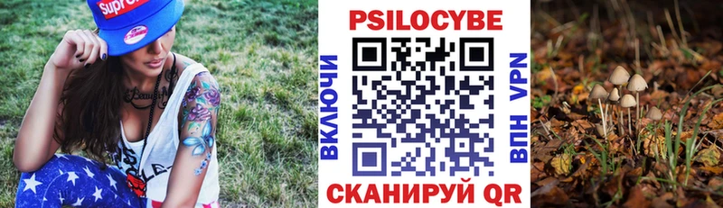 Псилоцибиновые грибы Magic Shrooms  наркота  Буй 